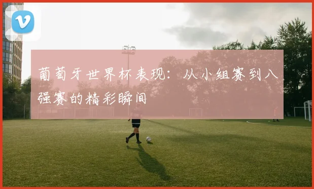 葡萄牙世界杯表现：从小组赛到八强赛的精彩瞬间