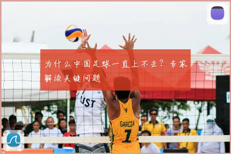 为什么中国足球一直上不去？专家解读关键问题