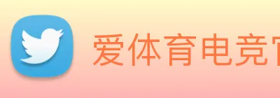 爱体育电竞官网 Logo